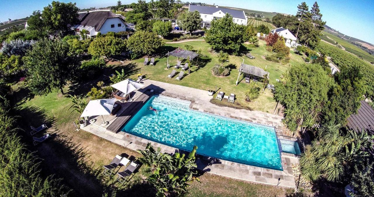 Wedgeview Country House & Spa Стелленбос Экстерьер фото